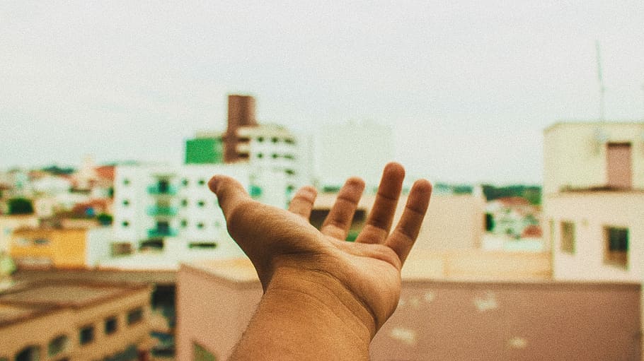 left human palm, selective focus photo of left human palm, hand HD wallpaper