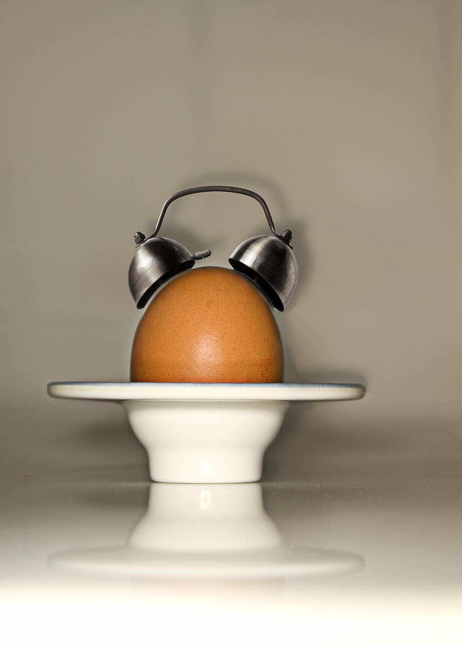 egg, alarm clock, arouse, breakfast, artwork, watches, bell HD wallpaper