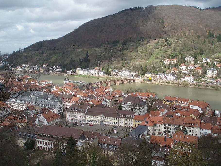 heidelberg, philosopher's path, neckar, cityscape, town, architecture HD wallpaper