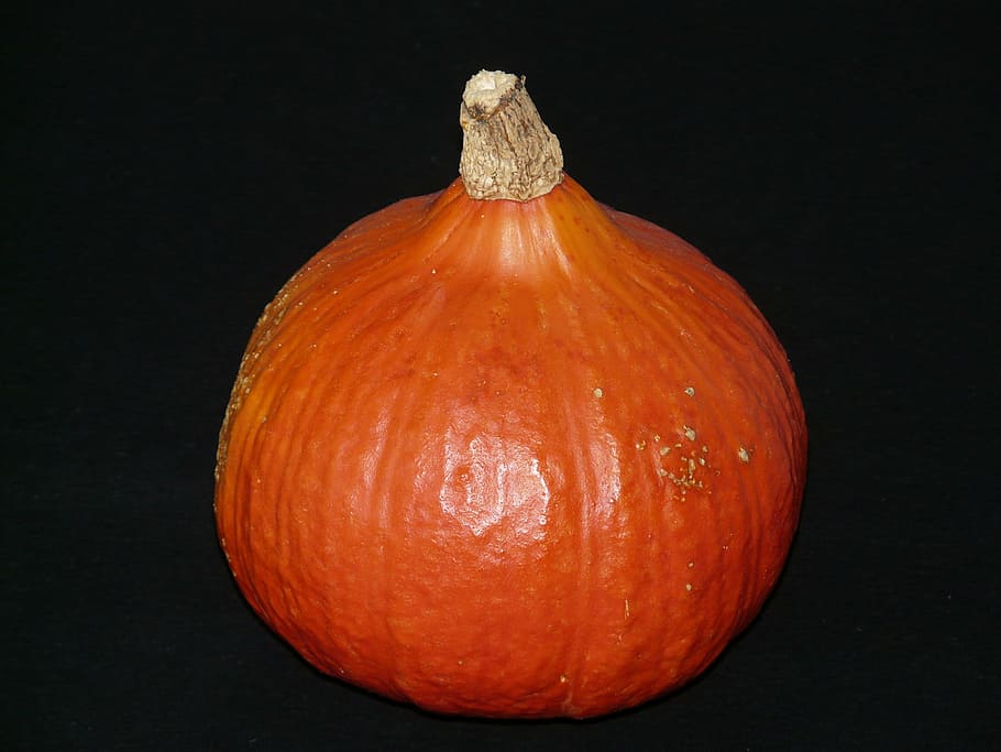 pumpkin, cucurbita, orange, harvest, autumn, food, food and drink HD wallpaper
