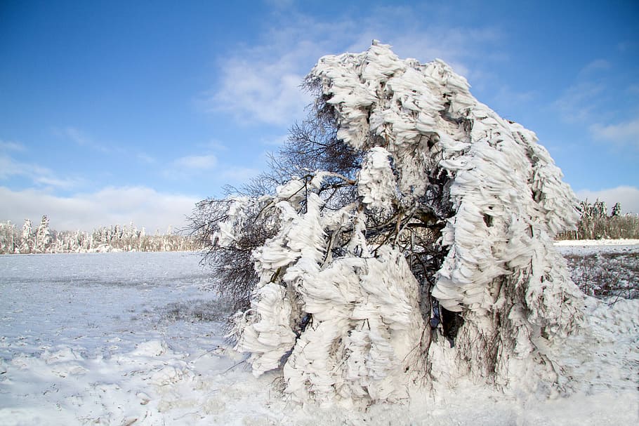 winter, snow, wintry, hochrhoen, wasserkuppe, rhön winter HD wallpaper