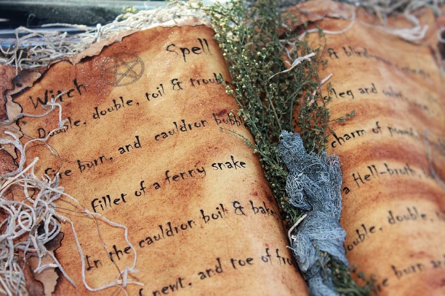 plant on witch spell book, halloween, occult, halloween background