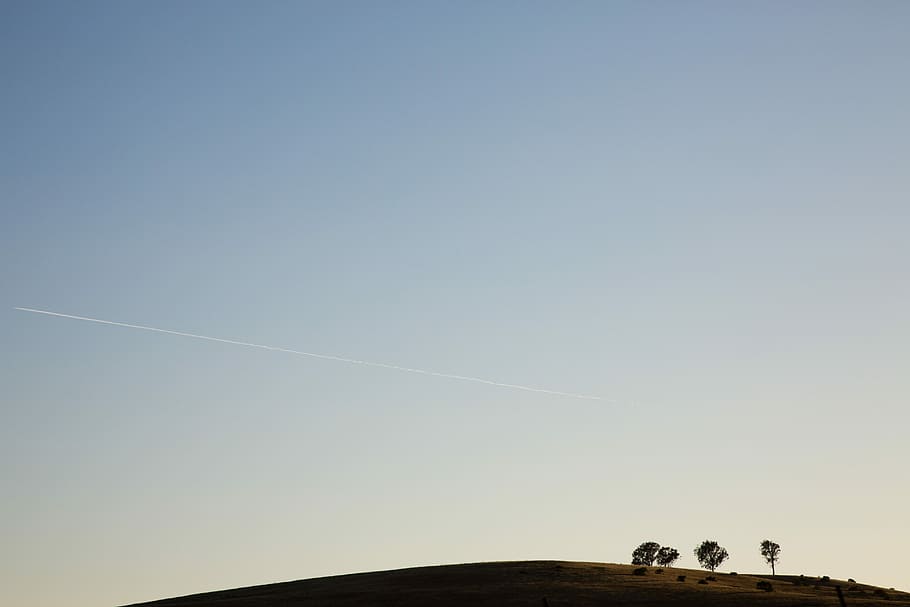 silhouette of trees under clear blue sky, trees on hill during daytime HD wallpaper