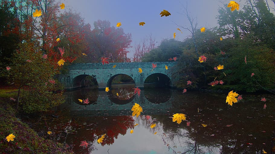 Mounting, River, Landscape, reflection, water, tree, outdoors HD wallpaper
