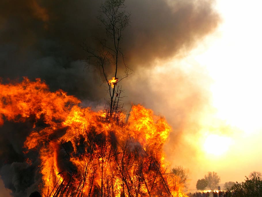 easter fire, flame, burning, fire - natural phenomenon, tree HD wallpaper
