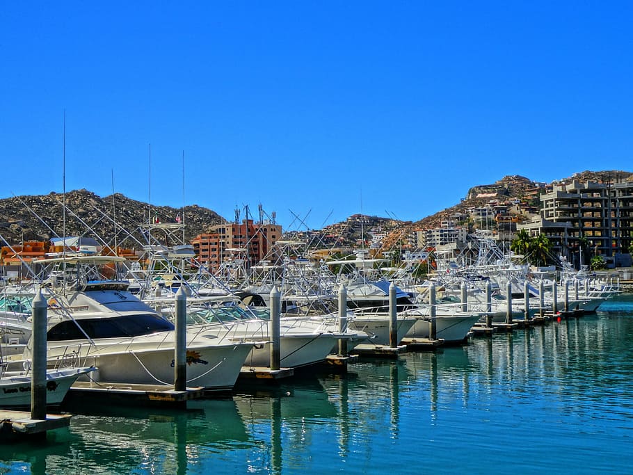 yacht docked on harbor, marina, los cabos, cabo san lucas, moored