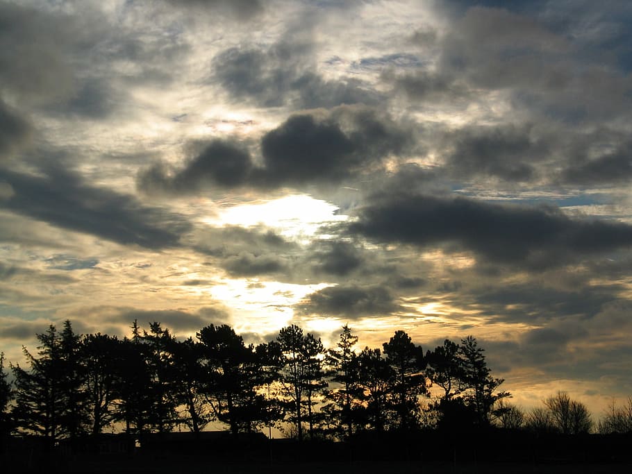sky, clouds, covered sky, trees, cloud - sky, tranquility, beauty in nature HD wallpaper