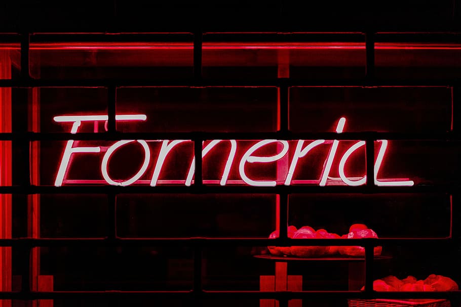 red Fomeria neon-signage, turned on red Fomeria neon signag, light HD wallpaper