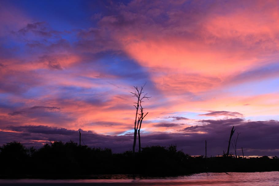 Sky, Clouds, Dry Tree, Sunset, silhouette, cloud - sky, dramatic sky HD wallpaper