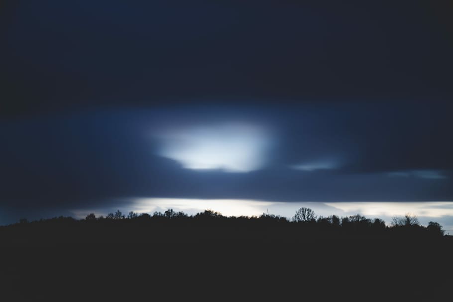 silhouette of forest, silhouette of trees photo during nighttime HD wallpaper