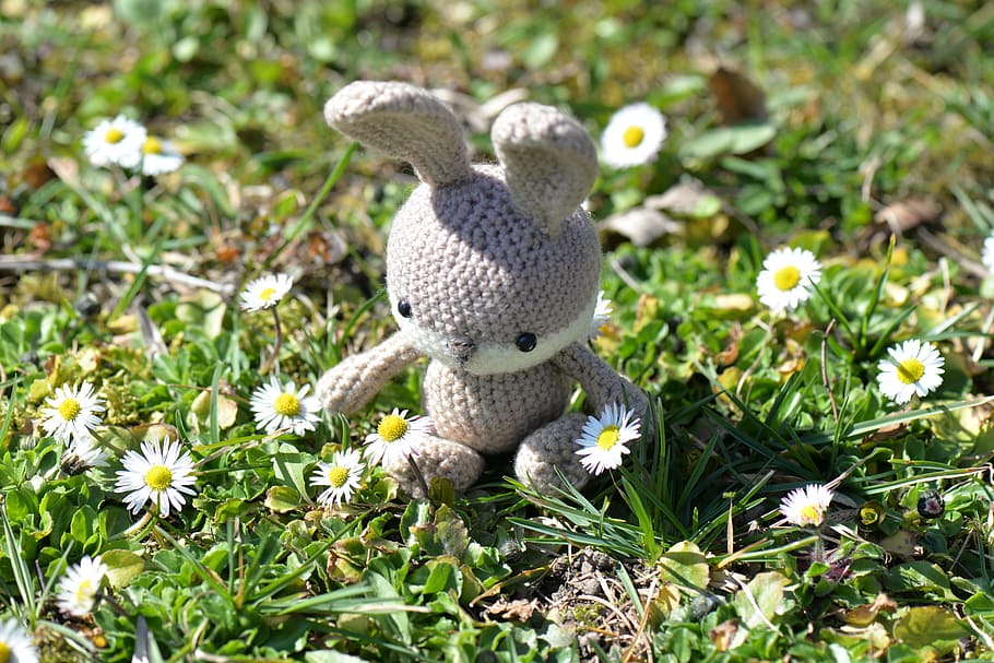 gray and white crochet bunny plush toy on ground near daisy flowers, HD wallpaper