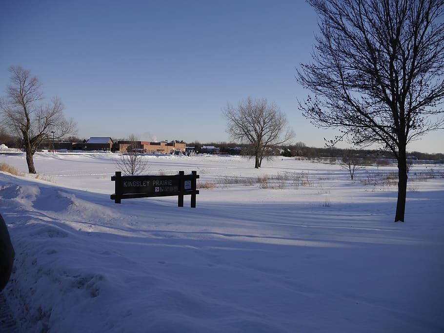 chicago, snow, winter, cold temperature, bare tree, sky, bench HD wallpaper