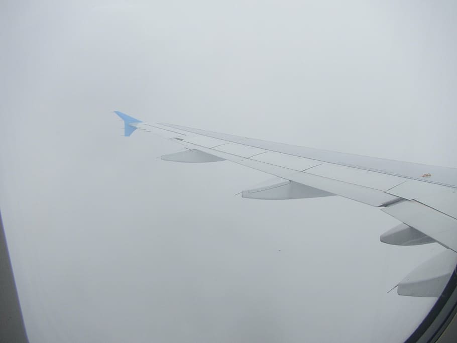 flight, plane, aircraft, pilot, clouds, sky, airplane, air vehicle HD wallpaper