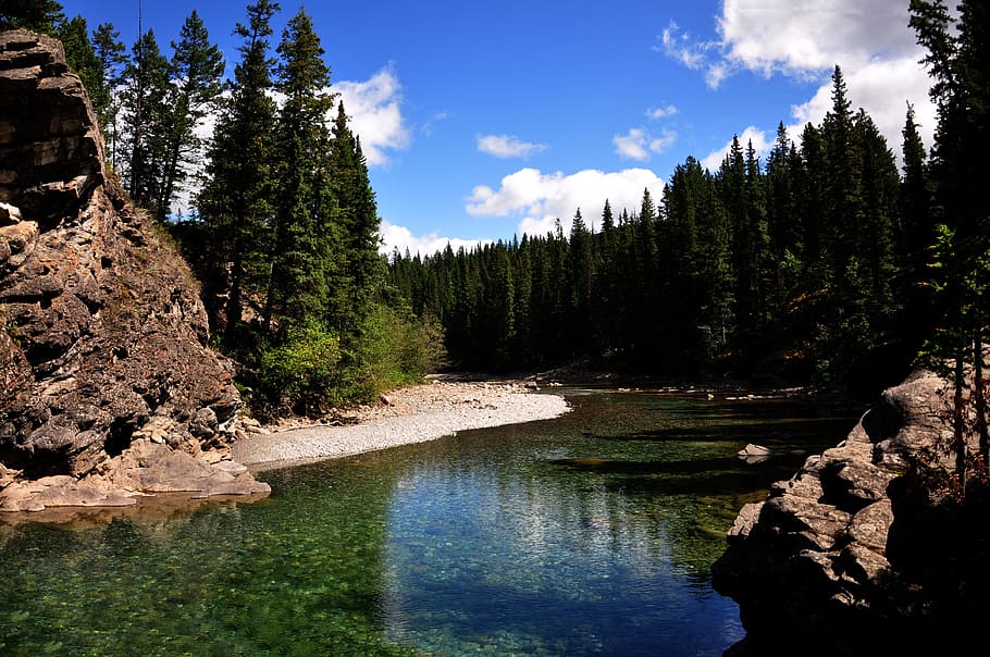 Canoe, Meadows, Kananaskis, Canada, River, canoe meadows, evergreen trees HD wallpaper