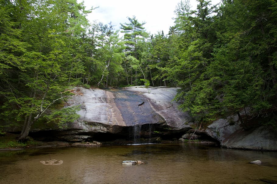 forest, nature, river, rocks, trees, water, woods, landscape HD wallpaper