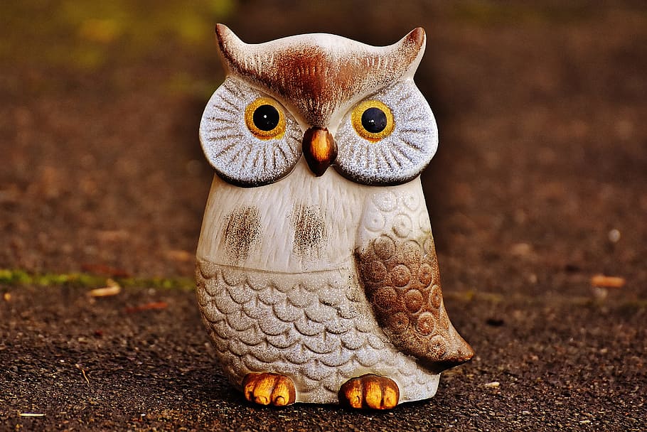 owl, bird, funny, ceramic, animal, cute, deco, figure, decoration HD wallpaper