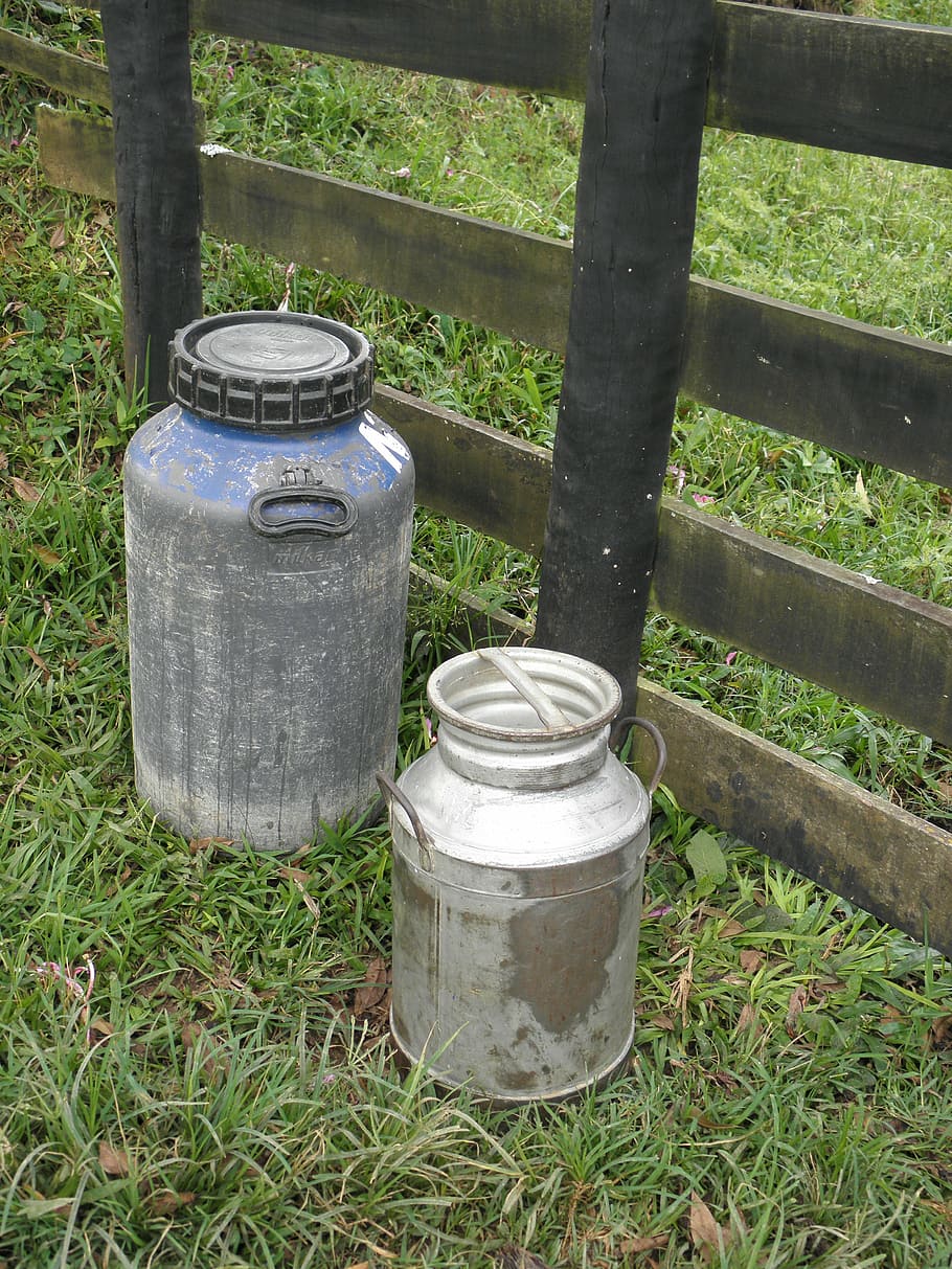 milk, interior, minas, plant, grass, container, day, metal HD wallpaper