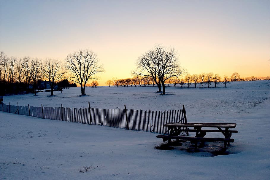 snow, fence, tree, sunset, shadow, bench, nature, landscape HD wallpaper