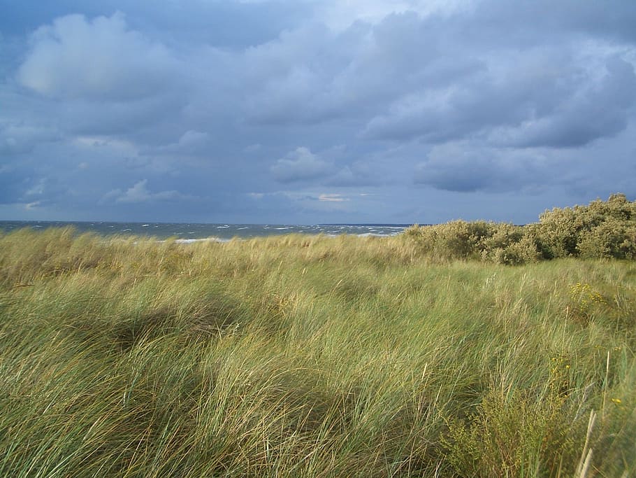 green grass field, Femo, Denmark, Landscape, Scenic, Sky, clouds HD wallpaper