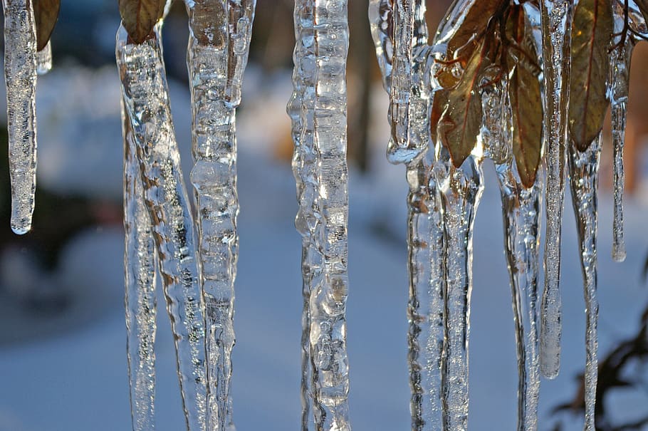 ice, ice age, icicle, winter, cold, snow, frozen, water, blue