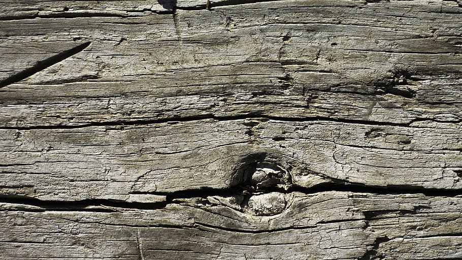 close view of wooden wall, texture, background, bark, design, HD wallpaper