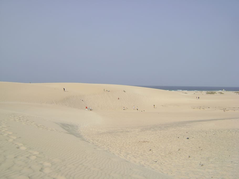 dunes, sea, sand, land, sky, scenics - nature, desert, clear sky HD wallpaper