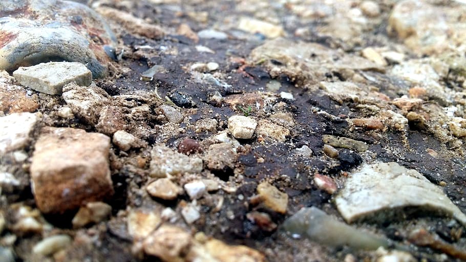 stone, winter, brown, cold, nature, outdoor, december, selective focus HD wallpaper