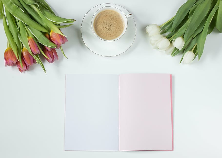bloom, blossom, coffee, cup, flora, flowers, mug, notebook HD wallpaper