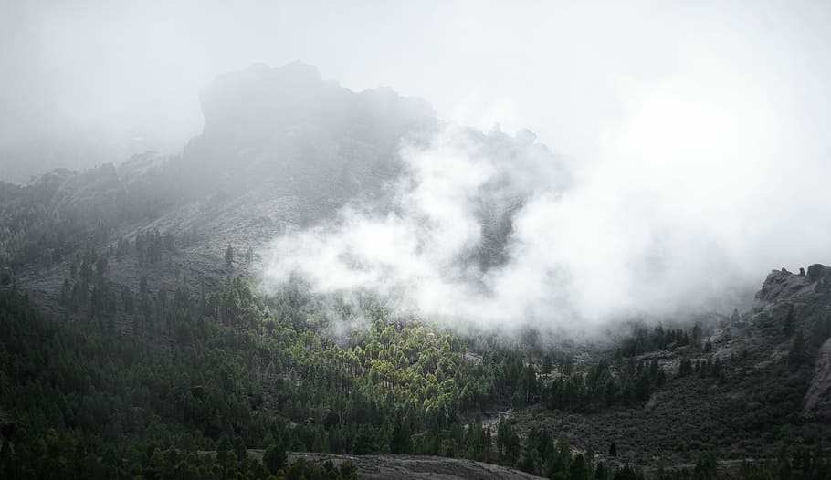 white smoke over forest, in distant photo of mountain with fogs HD wallpaper