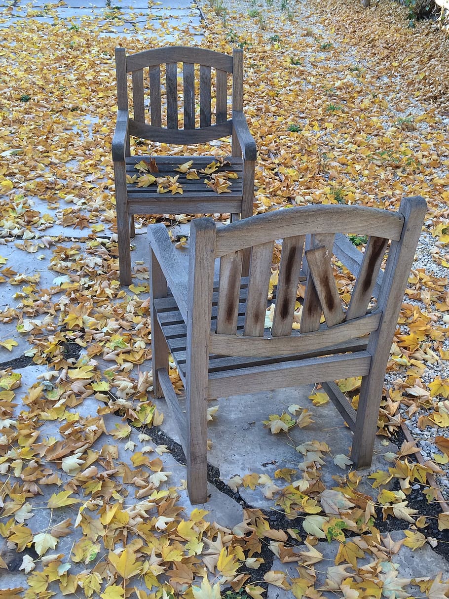 Leaves, Autumn, chair, bench, seat, outdoors, wood - Material HD wallpaper