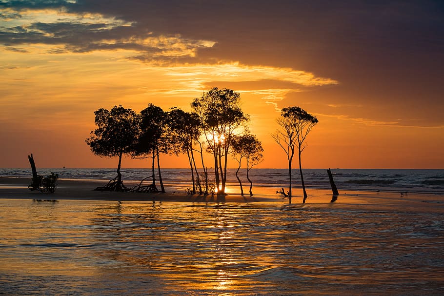 landscape photography of islet under clear sky during daytime HD wallpaper