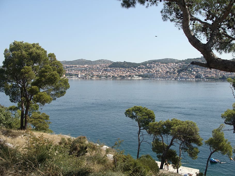 sea, summer, tree, pine, panorama, view, nature, sunny, sunshine HD wallpaper
