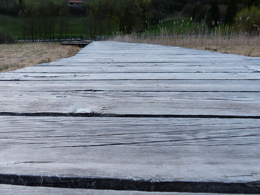 web, boardwalk, moor, swamp, moorland, nature conservation HD wallpaper