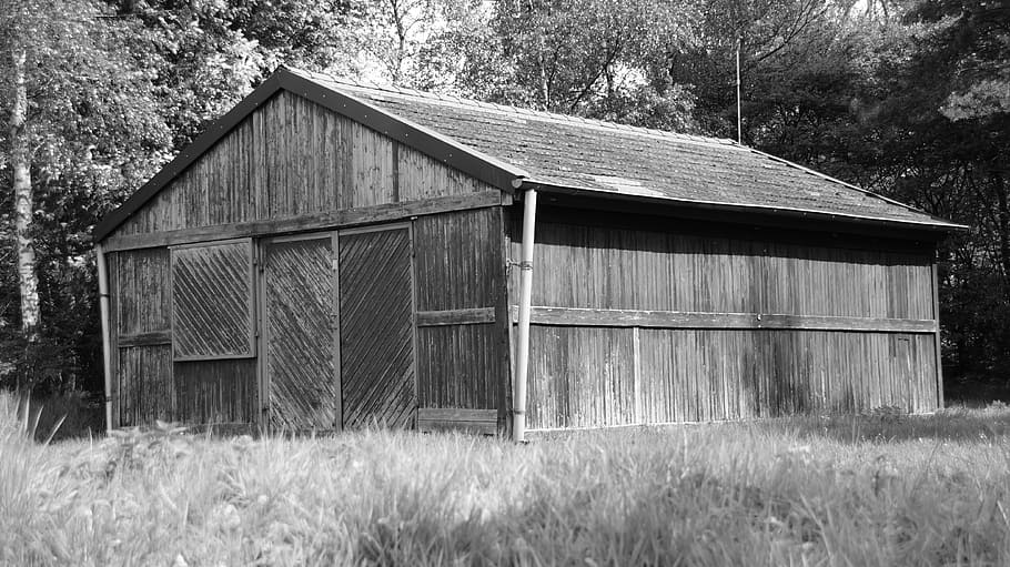 hut, old, log cabin, scheuer, barn, built structure, plant HD wallpaper