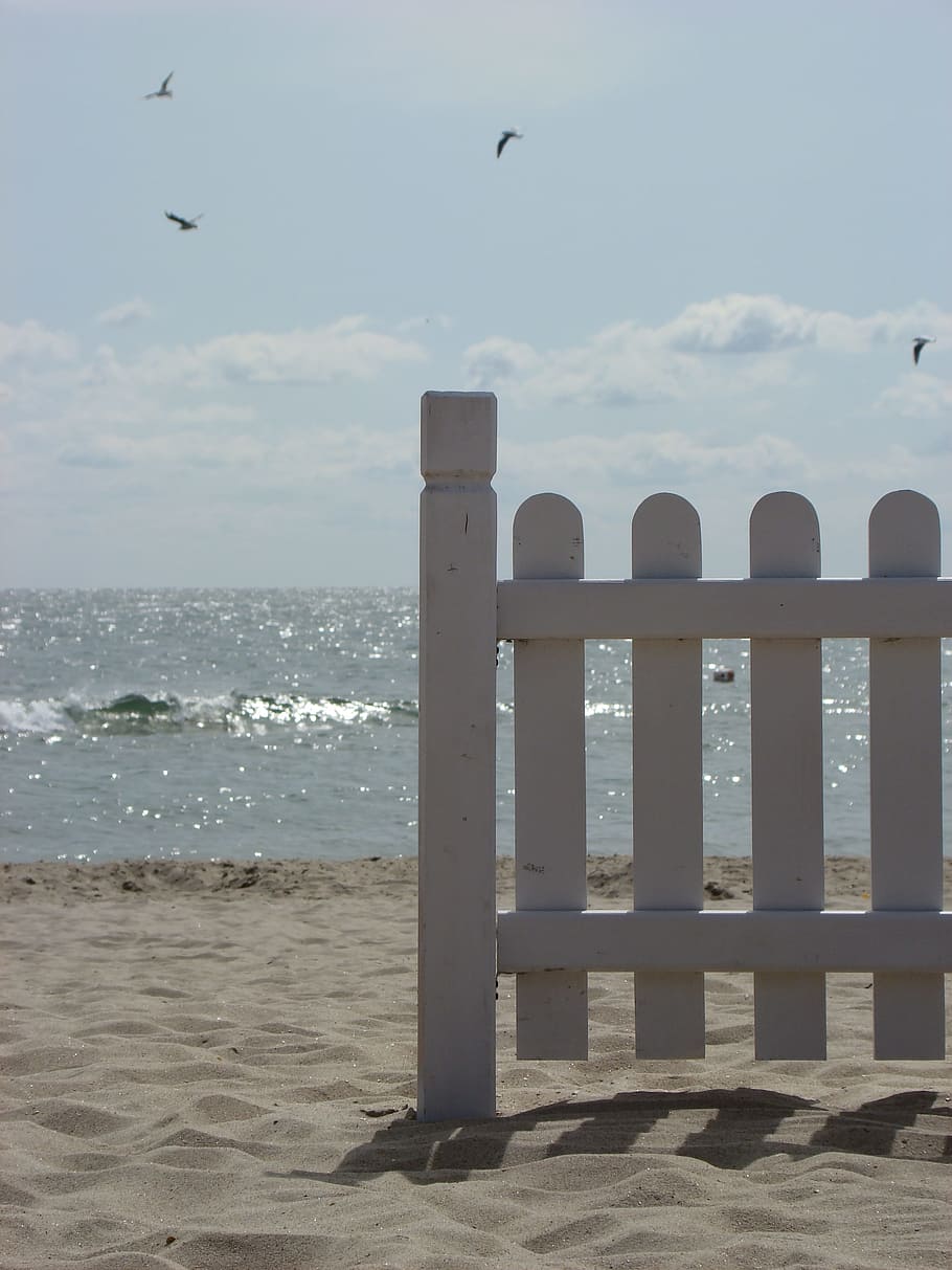 sea, gulls, sky, bird, water, birds, sand, flight, summer, seagull HD wallpaper
