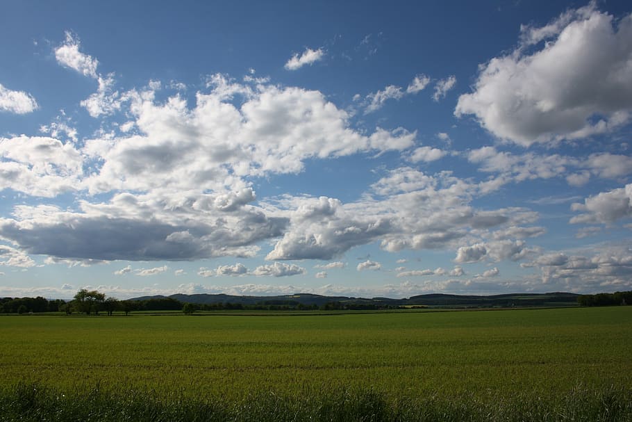landscape, clouds, sky, nature, meadow, azur, blue, wide, field HD wallpaper