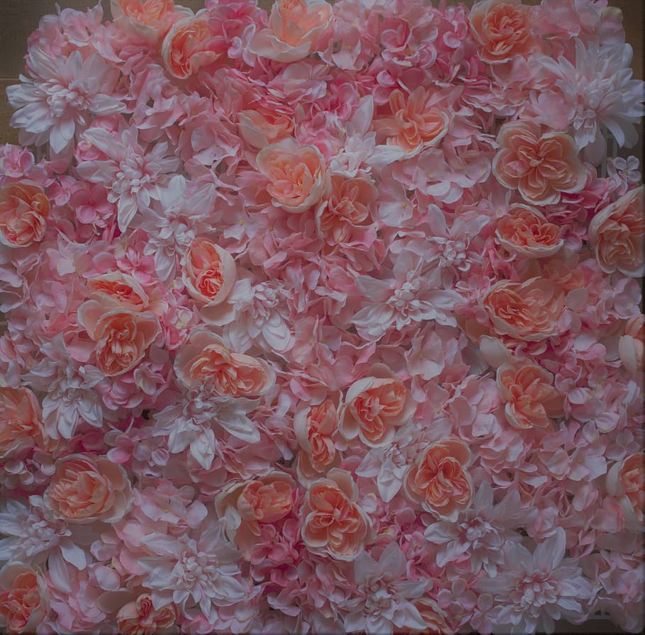 texture, flower wall, floral wall, background, backdrop, pink color HD wallpaper