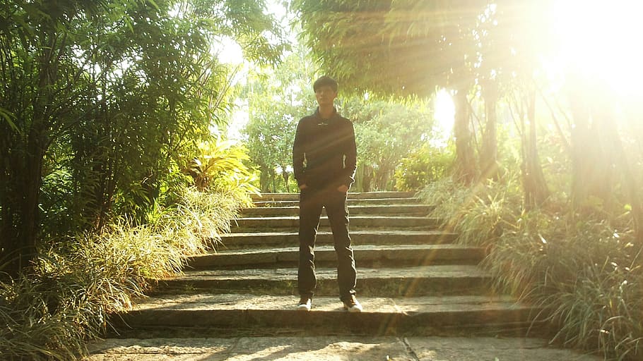 light, people, cool, tree, one person, plant, sunlight, staircase HD wallpaper