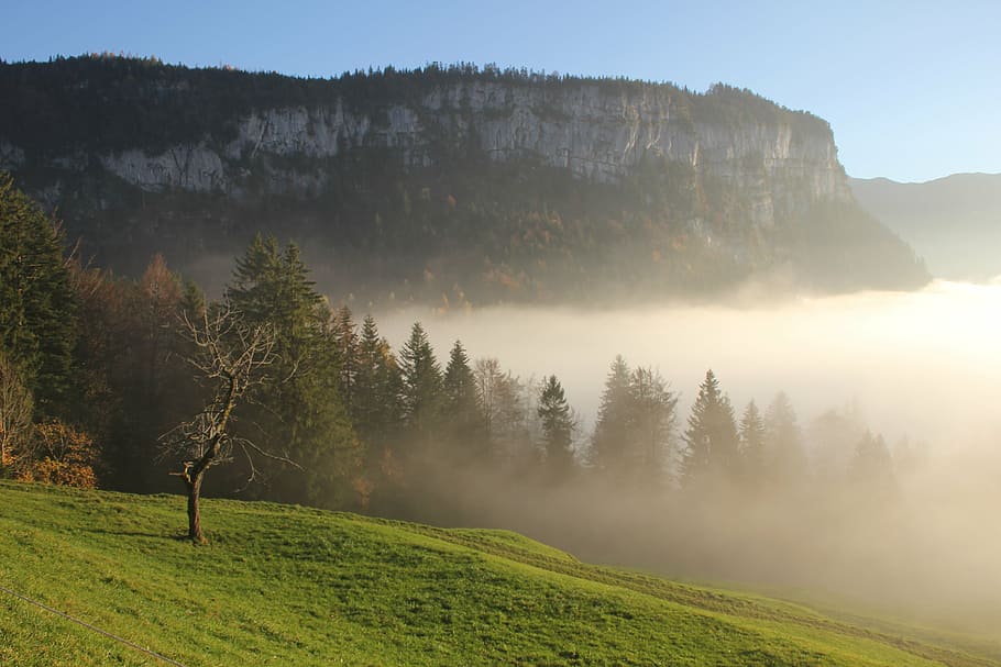 mountains, sun, rest, clouds, fog, switzerland, yberegg, tree HD wallpaper