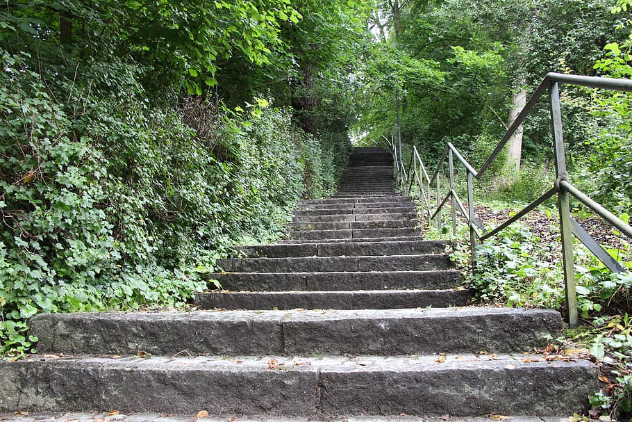low angle photo of stair, stairs, nature, gradually, landscape HD wallpaper
