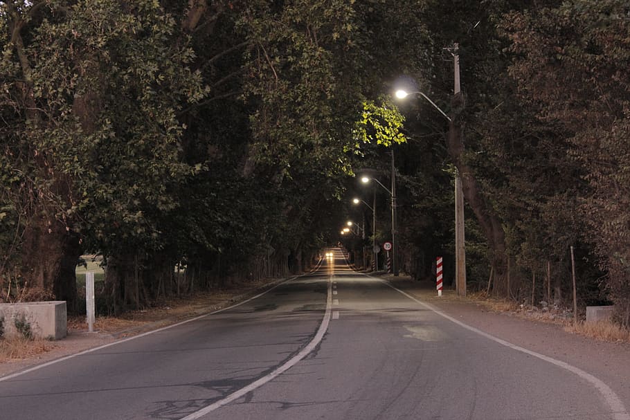 Street, Path, Sunset, Lights, Trees, online, road, nature, outdoors HD wallpaper