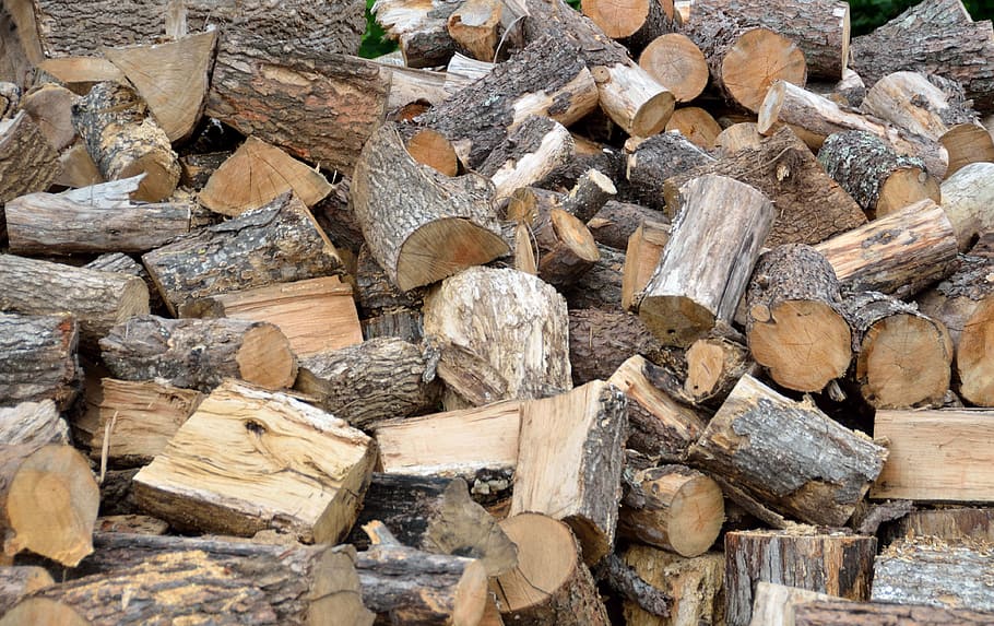 firewood, tree log, resource, woodpile, stack, lumber, nature, HD wallpaper