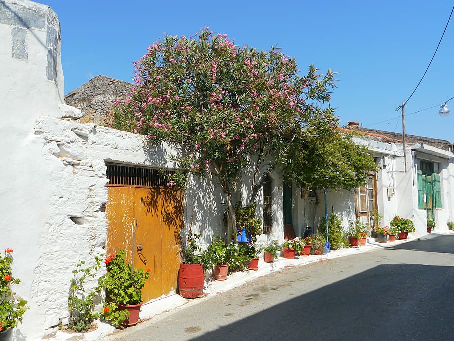 Road, Crete, homes, traditionally, building exterior, architecture HD wallpaper