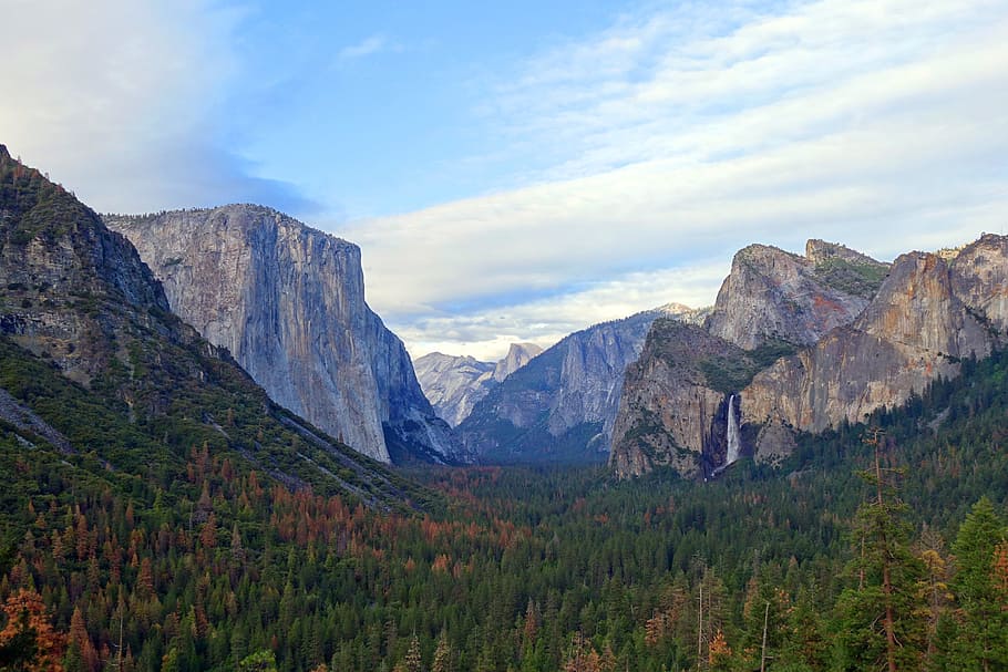 Yosemite National Park, Zion National Park, Utah, green, trees HD wallpaper