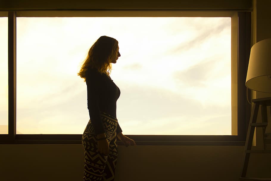 silhouette of woman near window pane, decoration, architecture