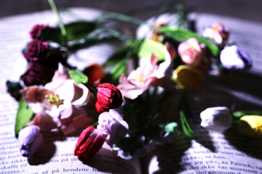 flower, book, tiny, color, colourful, close-up, nature, freshness HD wallpaper