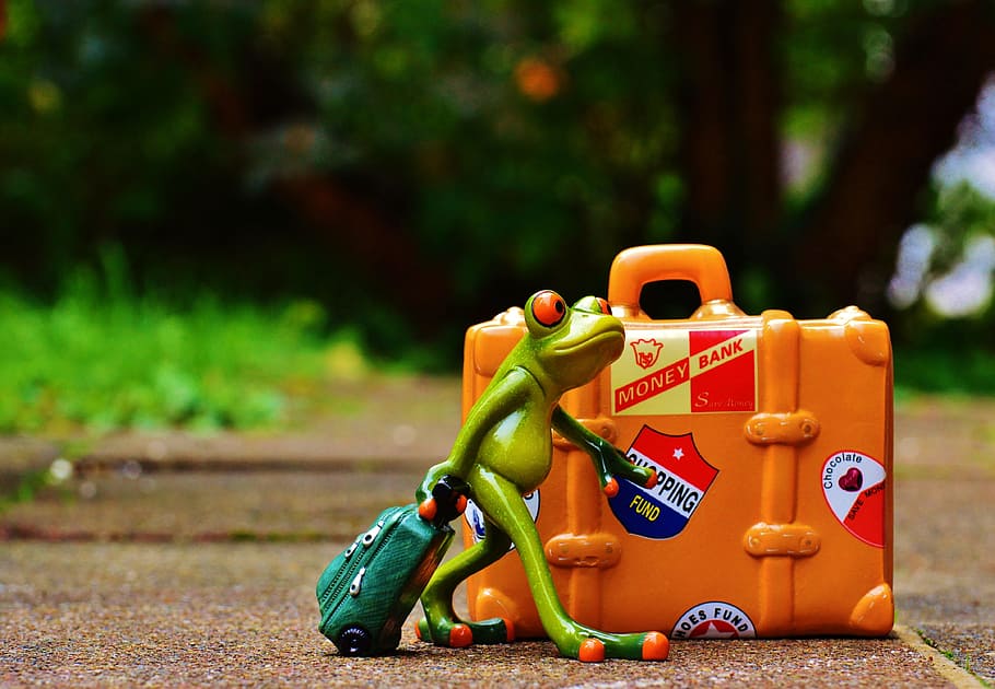 frog, travel, holiday, fun, funny, figure, go away, holdall HD wallpaper