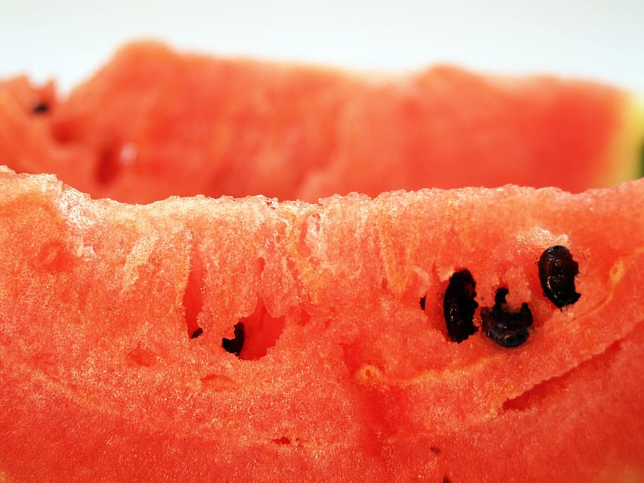 Watermelon, Slice, Isolated, Seeded, delicious, tropical, dessert HD wallpaper