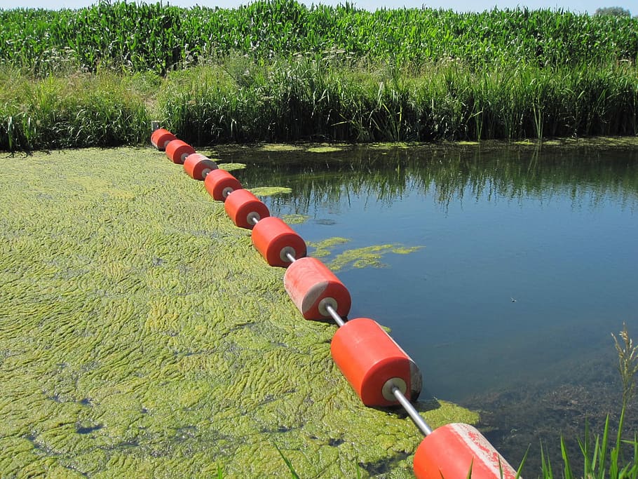 Buoy, River, lverstopt, red, grass, agriculture, outdoors, day HD wallpaper