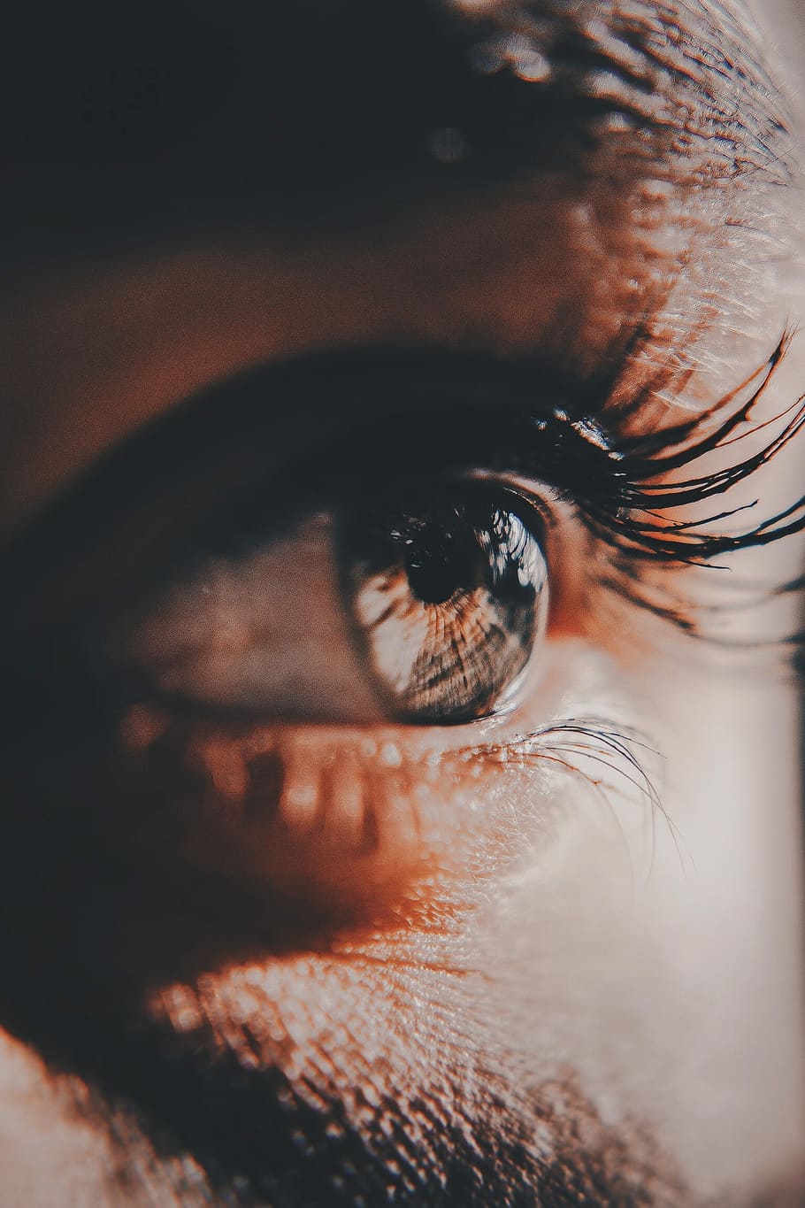 closeup photography of human eye, iris, pupil, eyelash, macro HD wallpaper